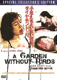 garden-without-birds