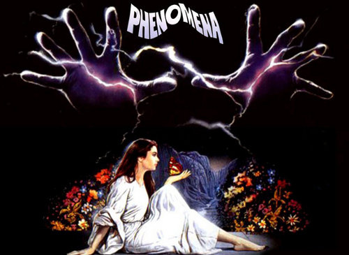 phenomena-01